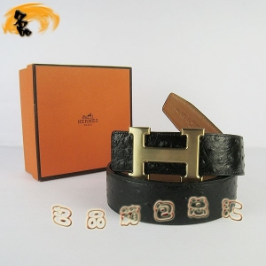 448 ���¿� HermesƤ�� Hermes���� ���R���п�Ƥ�� �r�B�y����\�� ���3.8cm
