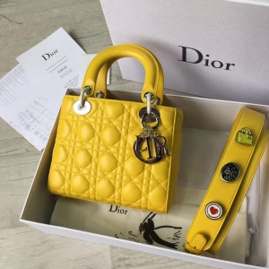 Dior LADY DIORС��Ƥ����� 2017�¿�ϊW���´����� �Sɫ