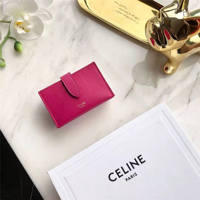 10B693 Celineِ�տ��� ����СţƤ Celine�L���޿��� õ�tɫ 