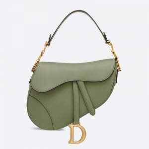 M0446 Dior Saddle���Ƽy����� Dior�پWŮ���R���� �Gɫ