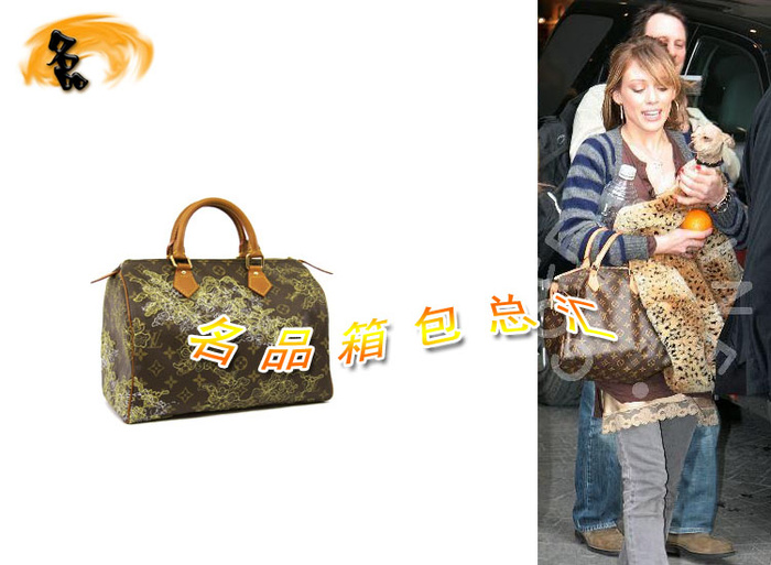 M95397 LV經典老花 LV女包 LV手提包 LV枕頭包 LV繡花包