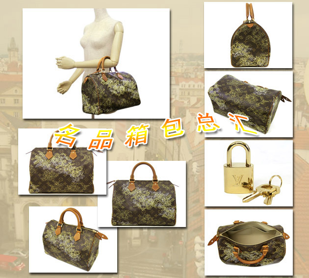 M95397 LV經典老花 LV女包 LV手提包 LV枕頭包 LV繡花包
