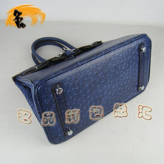 6088 ���R��Ů�� Hermes Birkin �K��� Hermes����� �r�B�y�y�� ���{ɫ