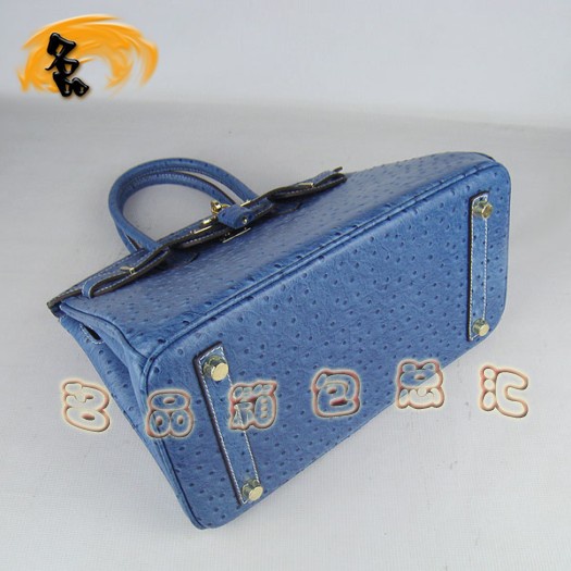 6088 ���R��Ů�� Hermes Birkin �K��� Hermes����� �r�B�y��� �{ɫ
