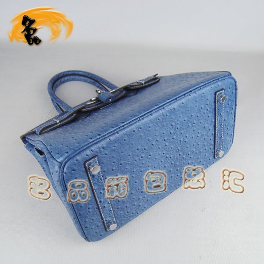 6088 ���R��Ů�� Hermes Birkin �K��� Hermes����� �r�B�y�y�� �{ɫ