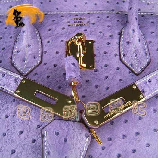 6089 Hermes Birkin 鉑金包 35 Birkin 鴕鳥紋女包 Hermes手提包 紫色金扣