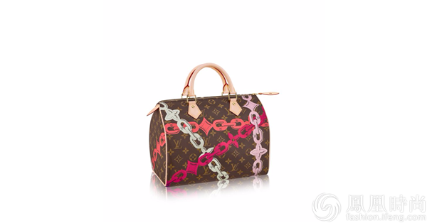 Louis Vuitton Damier Speedy