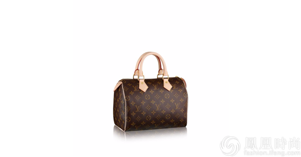 Louis Vuitton Damier Speedy