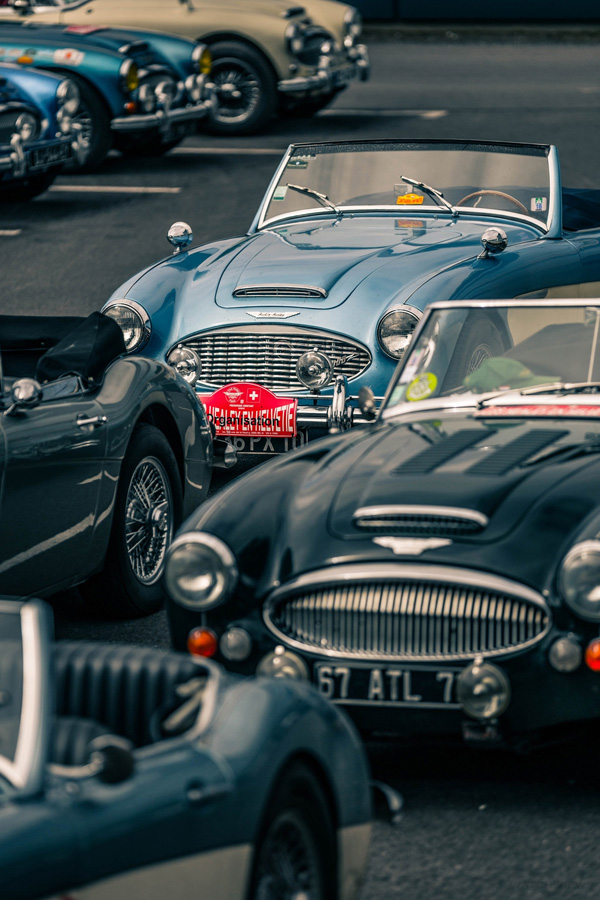 ��˹��ȫ��Austin Healey�Ŷ�ِ܇�������